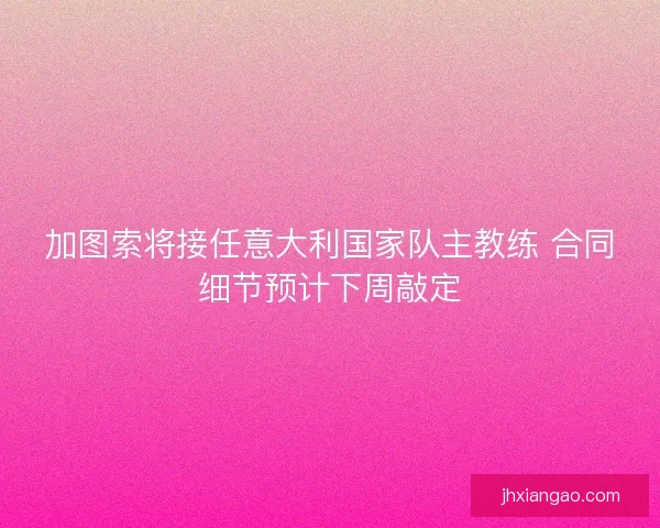 加图索将接任意大利国家队主教练 合同细节预计下周敲定