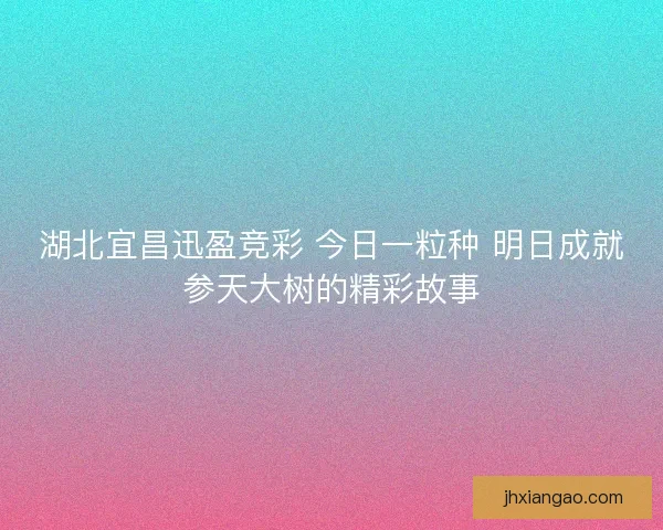 湖北宜昌迅盈竞彩 今日一粒种 明日成就参天大树的精彩故事 湖北宜昌迅盈竞彩 今日一粒种 明日成就参天大树的精彩故事